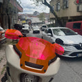 Low Rider ST (2022-2026) için 8" Ön Cam